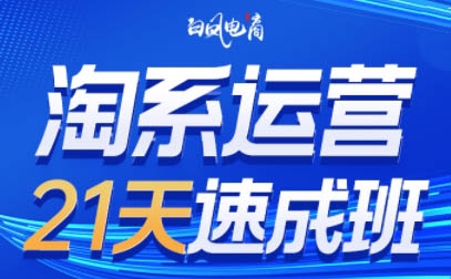 白凤电商·淘系运营21天速成班(更新6月)